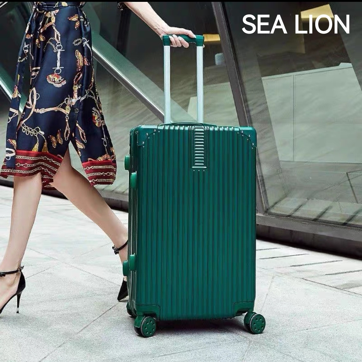 Sea Lion Luggage Women's Retro Classic Student Trendy Zipper Password Suitcase Suitcase Set Leather Case Men