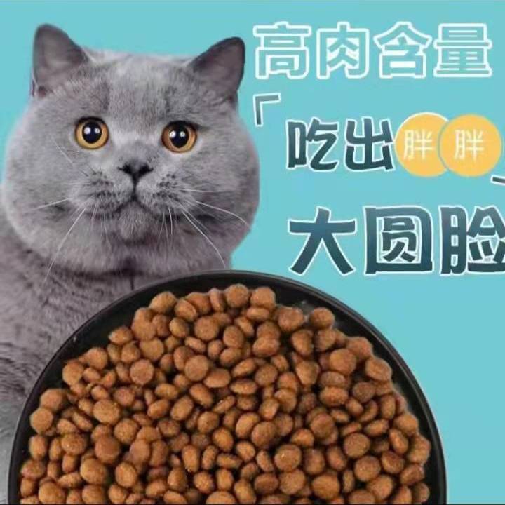 light smile freeze-dried  food increase fat hair chin into  kittens milk pastry american british short fish meat low oil natural  food  staple food