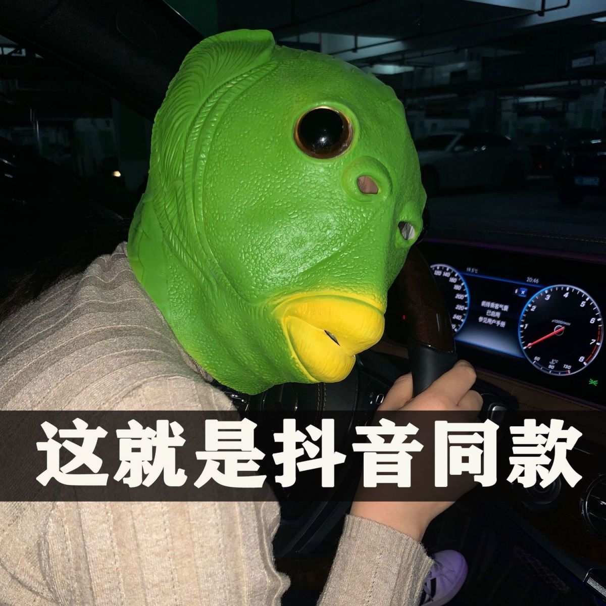 green head fish head cover mask cute funny funny sand carving fish head strange green fish man net red full face tasteless