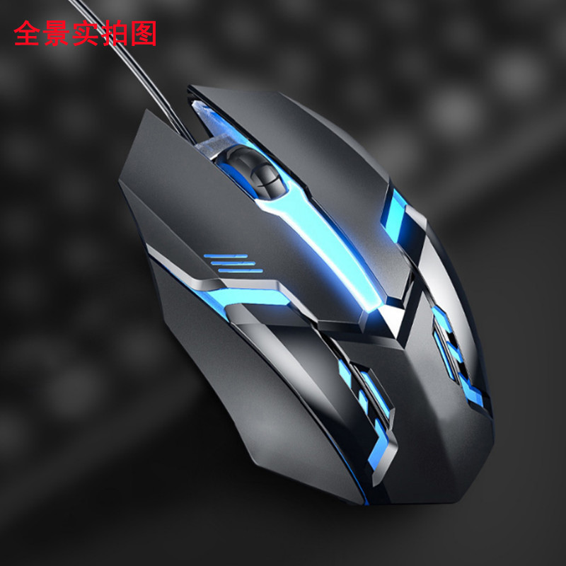 Product Image Gallery