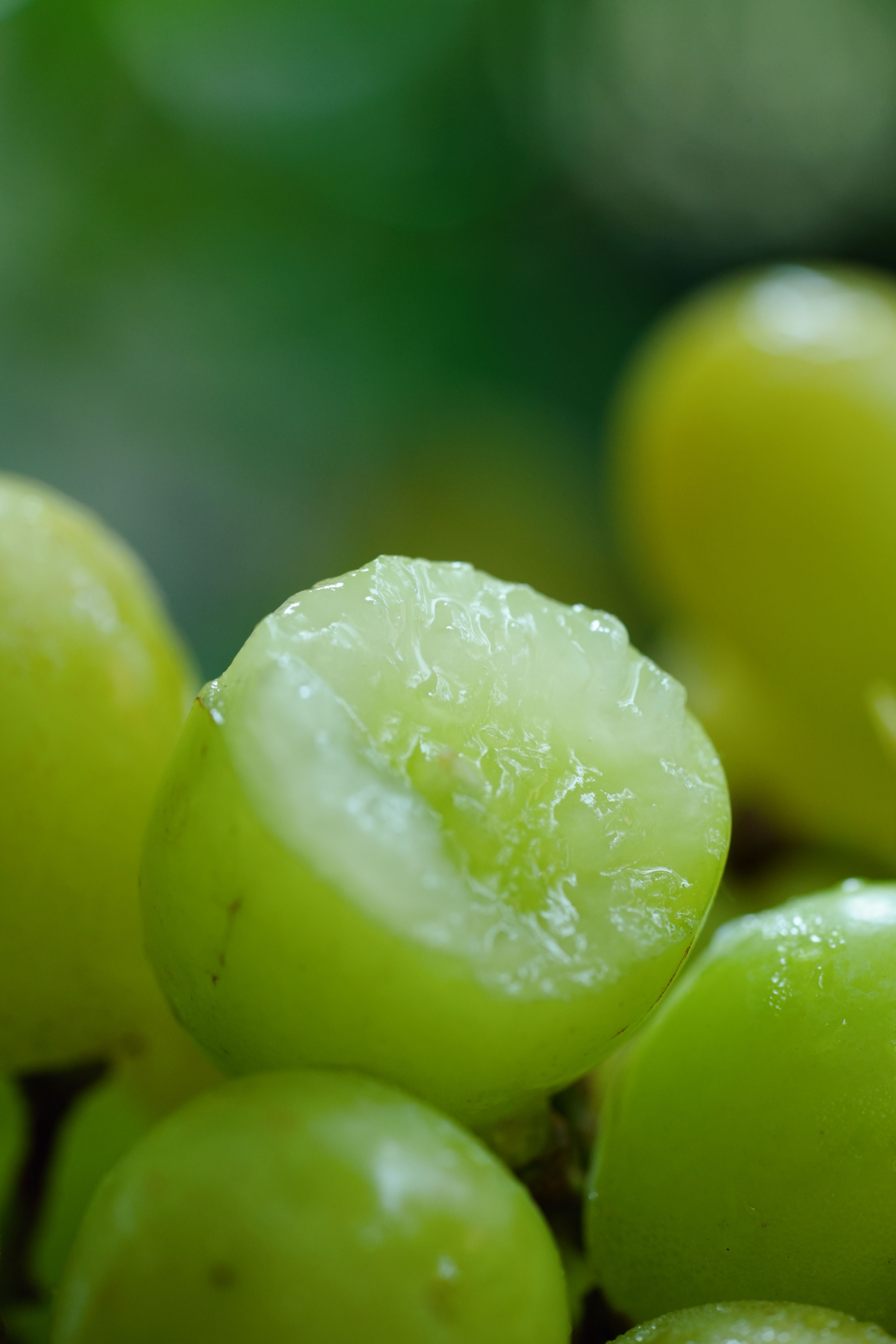 「蜂蜜香印·阳光玫瑰」：十年匠心，一口找回最初的甜蜜感动