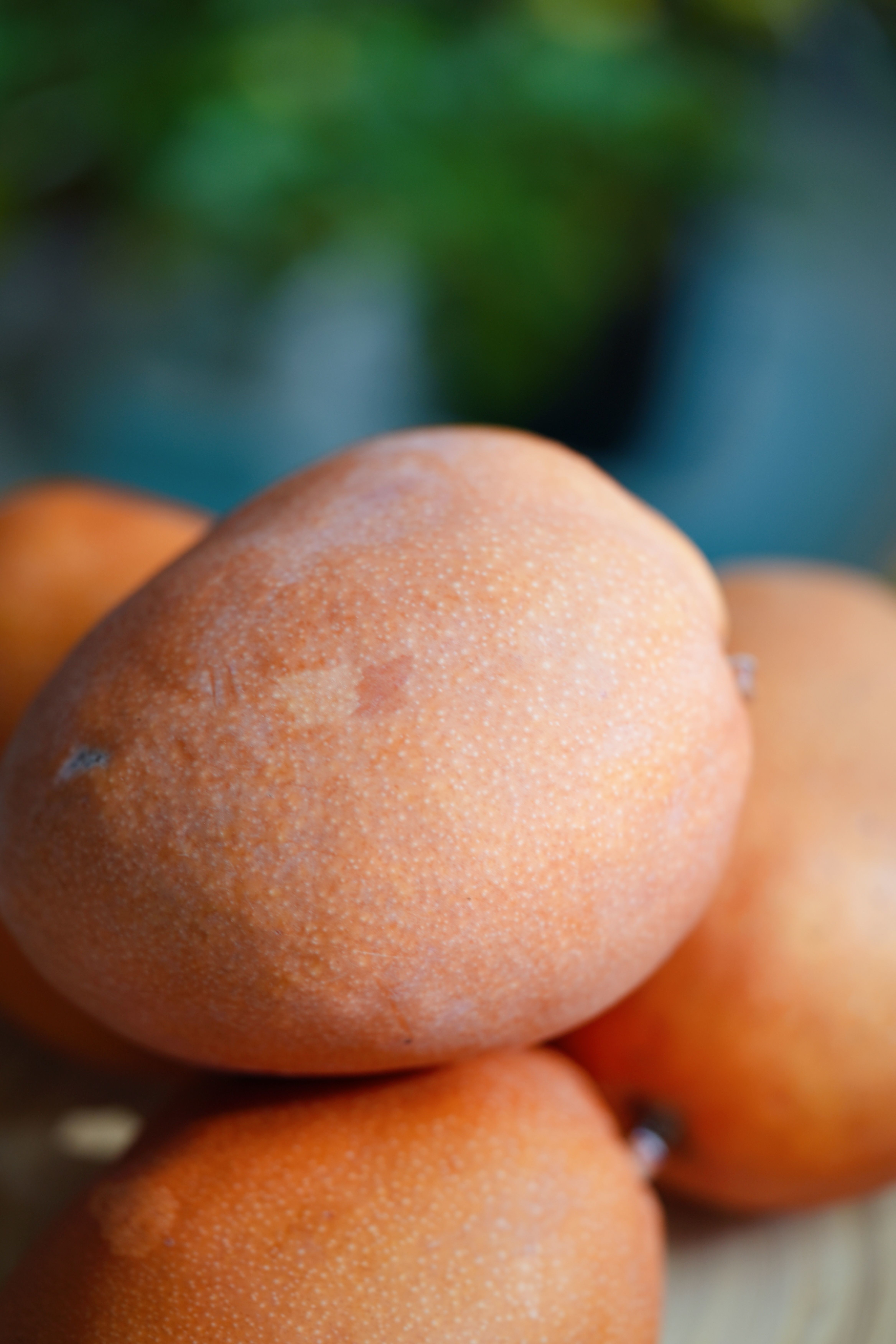 攀枝花「半坡阳光·粉红恋人芒果」：一口阳光，满心欢喜