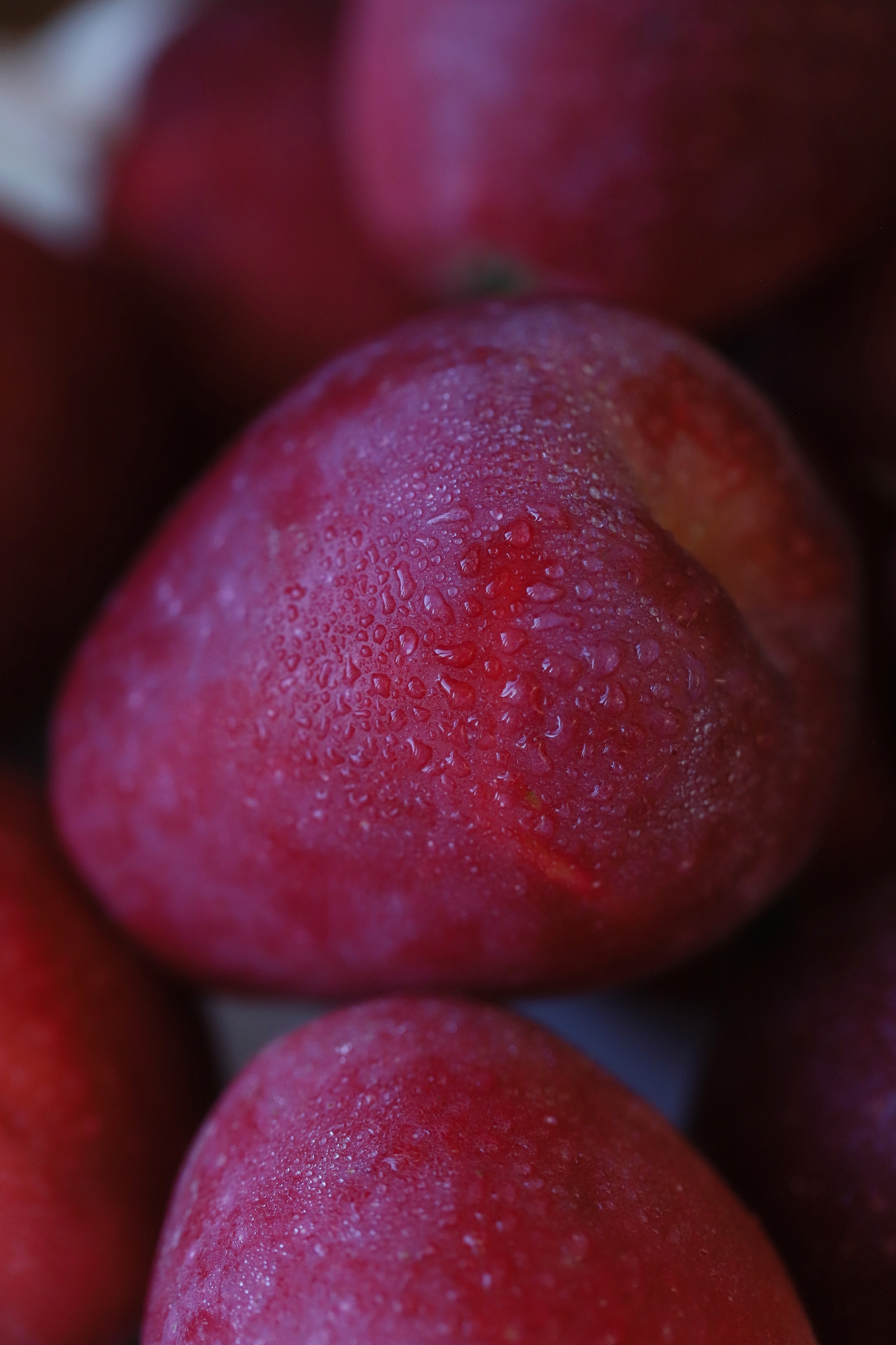 咬一口西域的秋天：香妃海棠果与张爱玲的遗憾