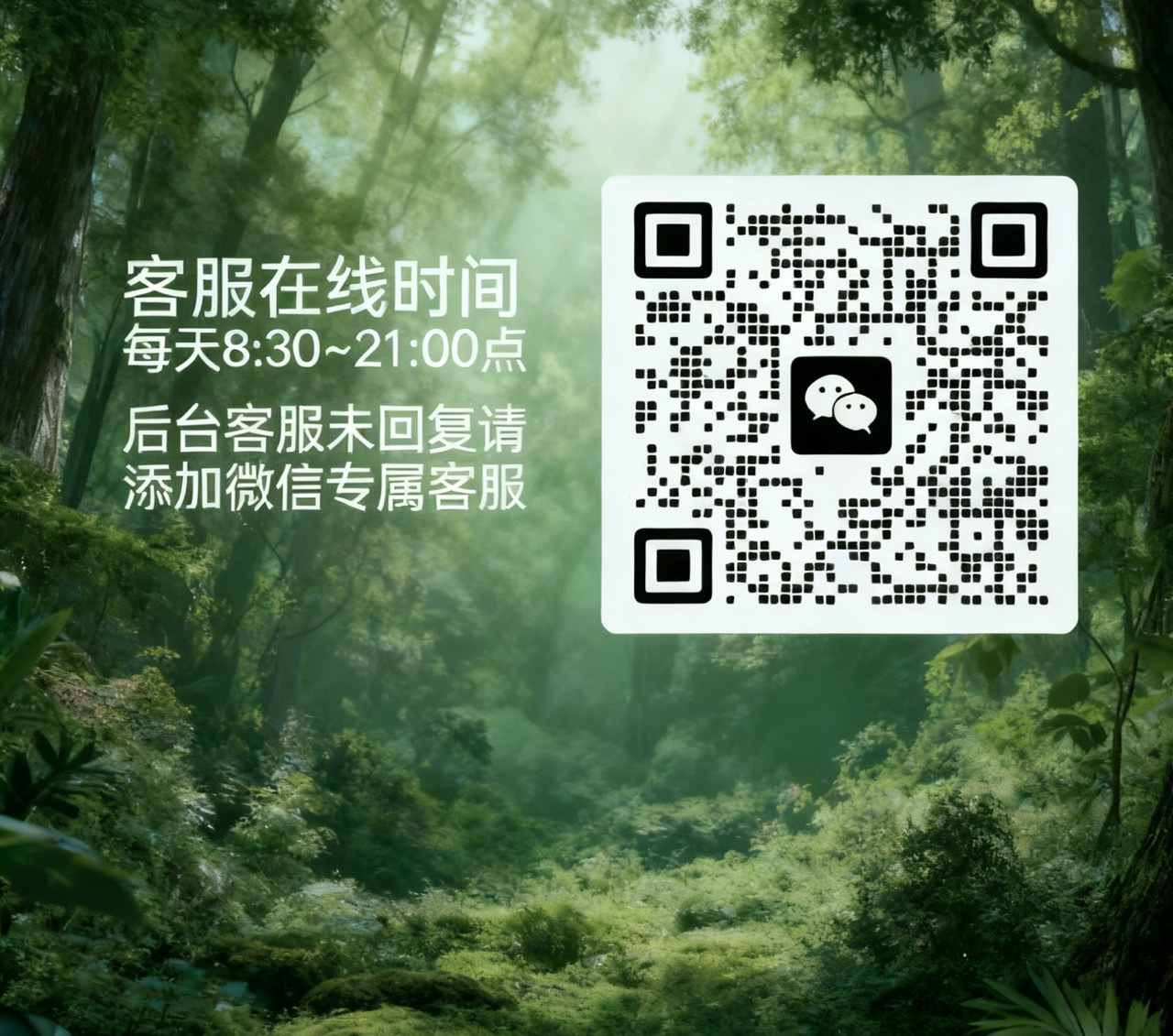 陶子💗外贸 的封面