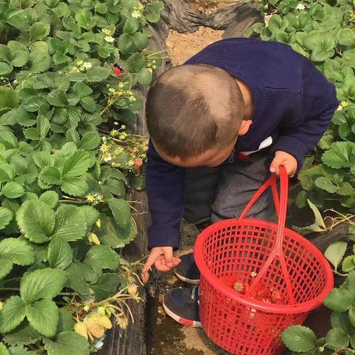 读闻天下正版图书批发代发 头像