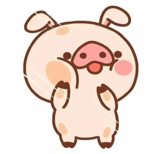 哼哼心选 头像