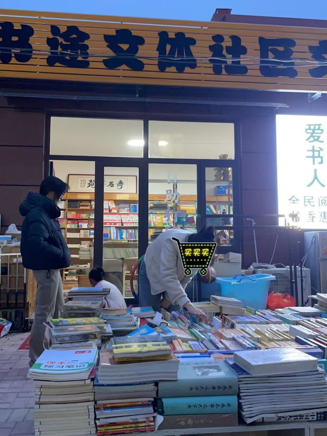 爱书人军姐书选 的封面