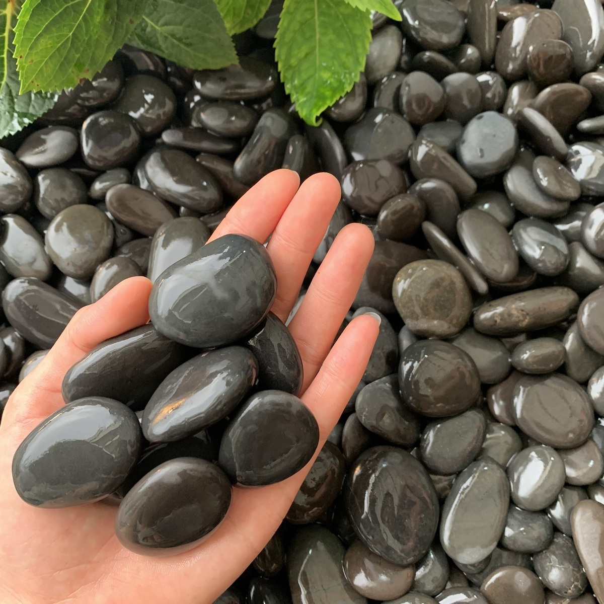 Cooking For Steamed Buns, Black Cobblestone, High Temperature Resistant Wooden Barrel Fish, Volcanic Stone, Sausage_voghion.com