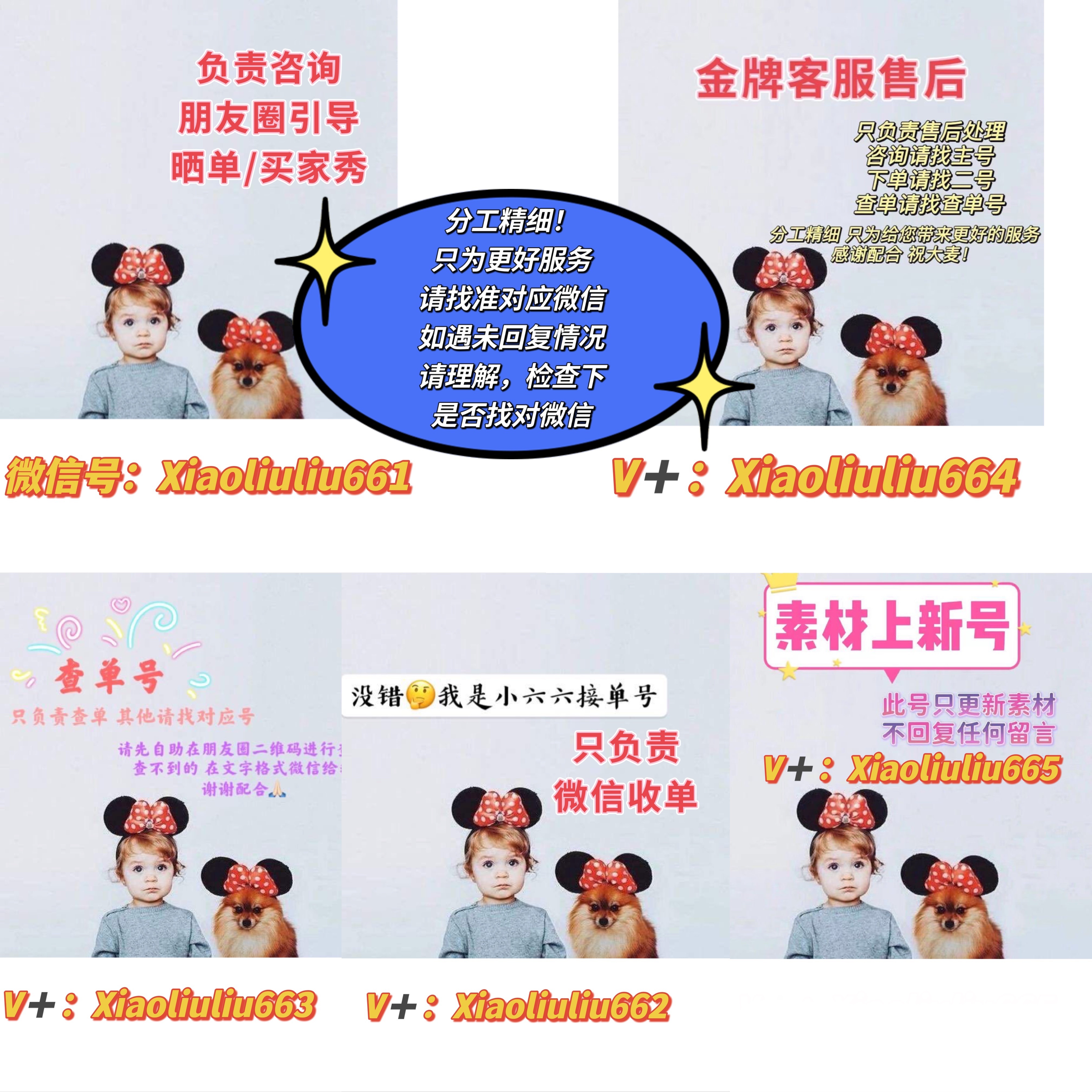 小六六🔴停止上新 介绍图