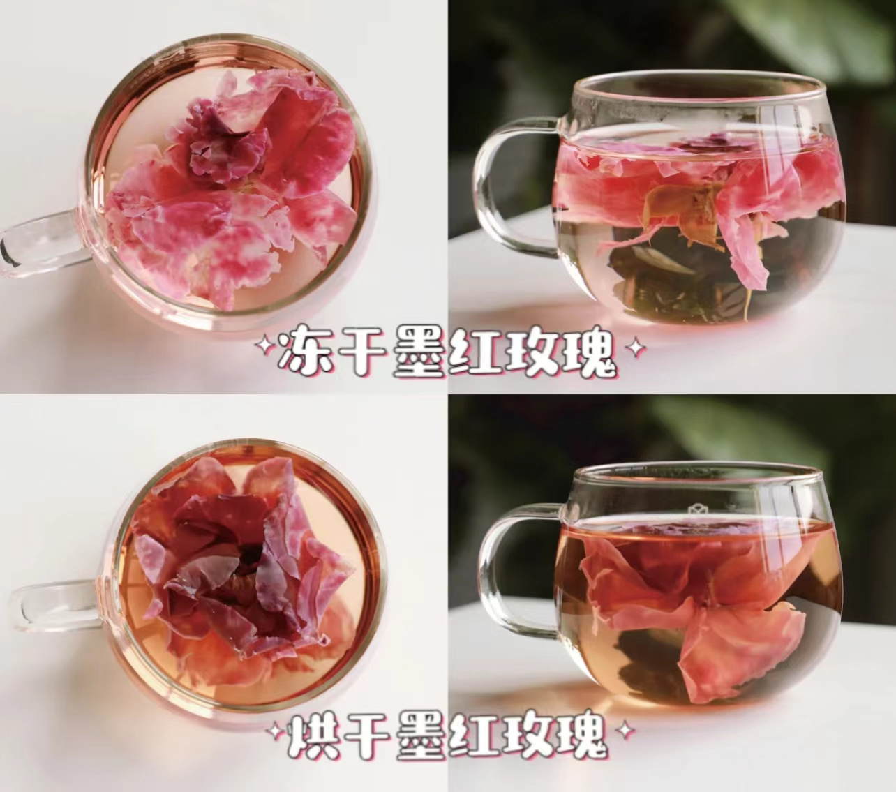 头茬墨红玫瑰：小王子的星辰与少女的蜜语