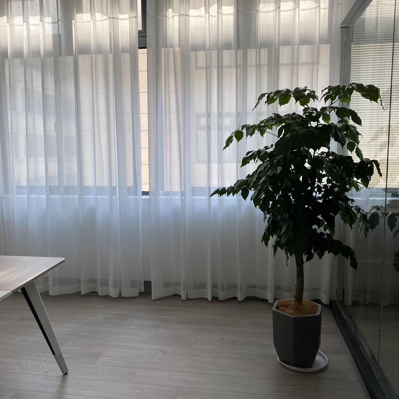 cici童品 介绍图