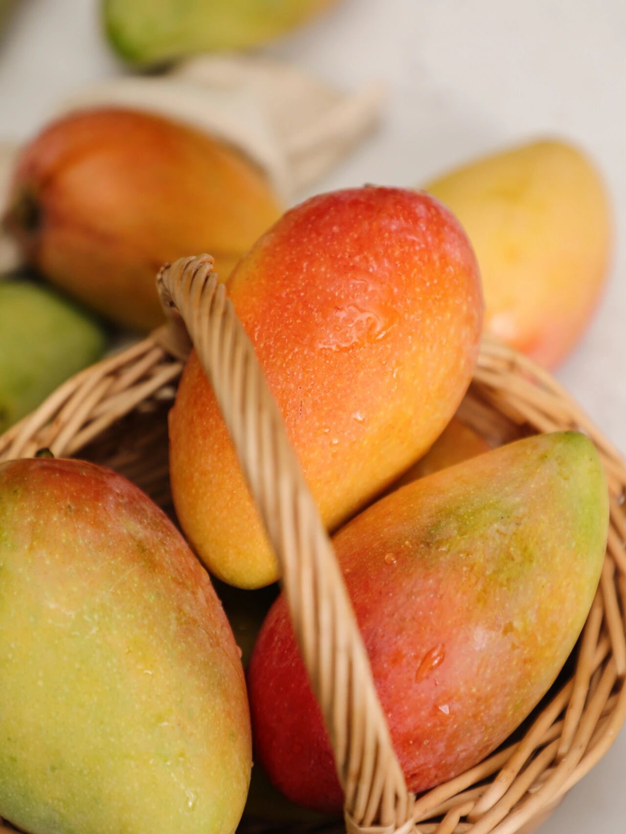 渔小觅·树上熟贵妃芒：为你留住果子的最好一刻