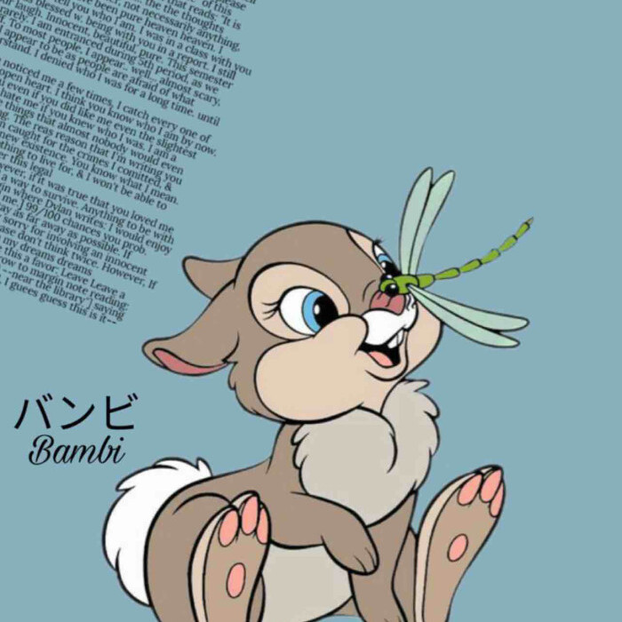 小兔Thumper🐰客服周日休 头像