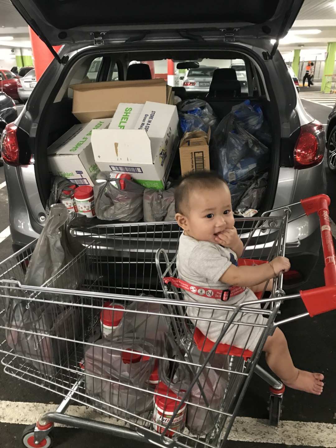 团长秘密基地 (订阅领红包) 介绍图