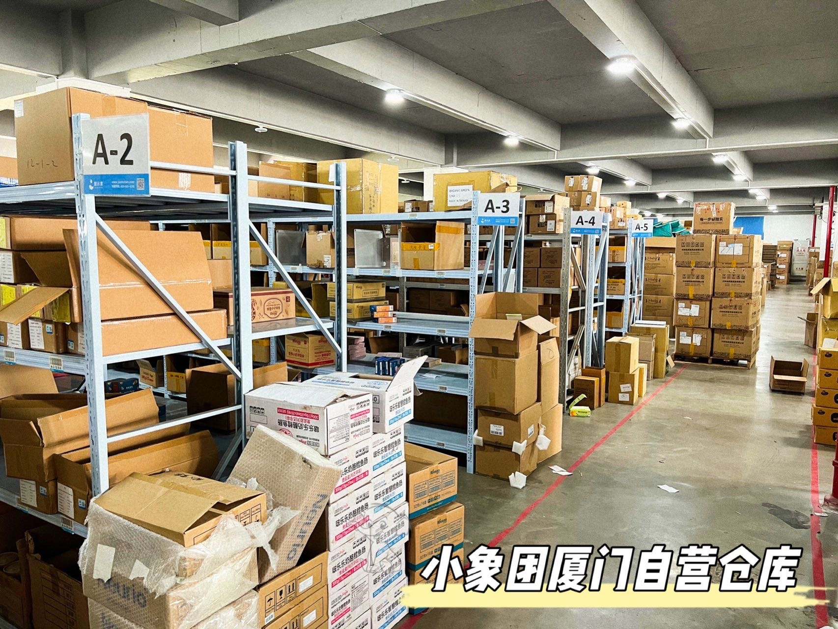 小象团🔆加群更爆单 介绍图