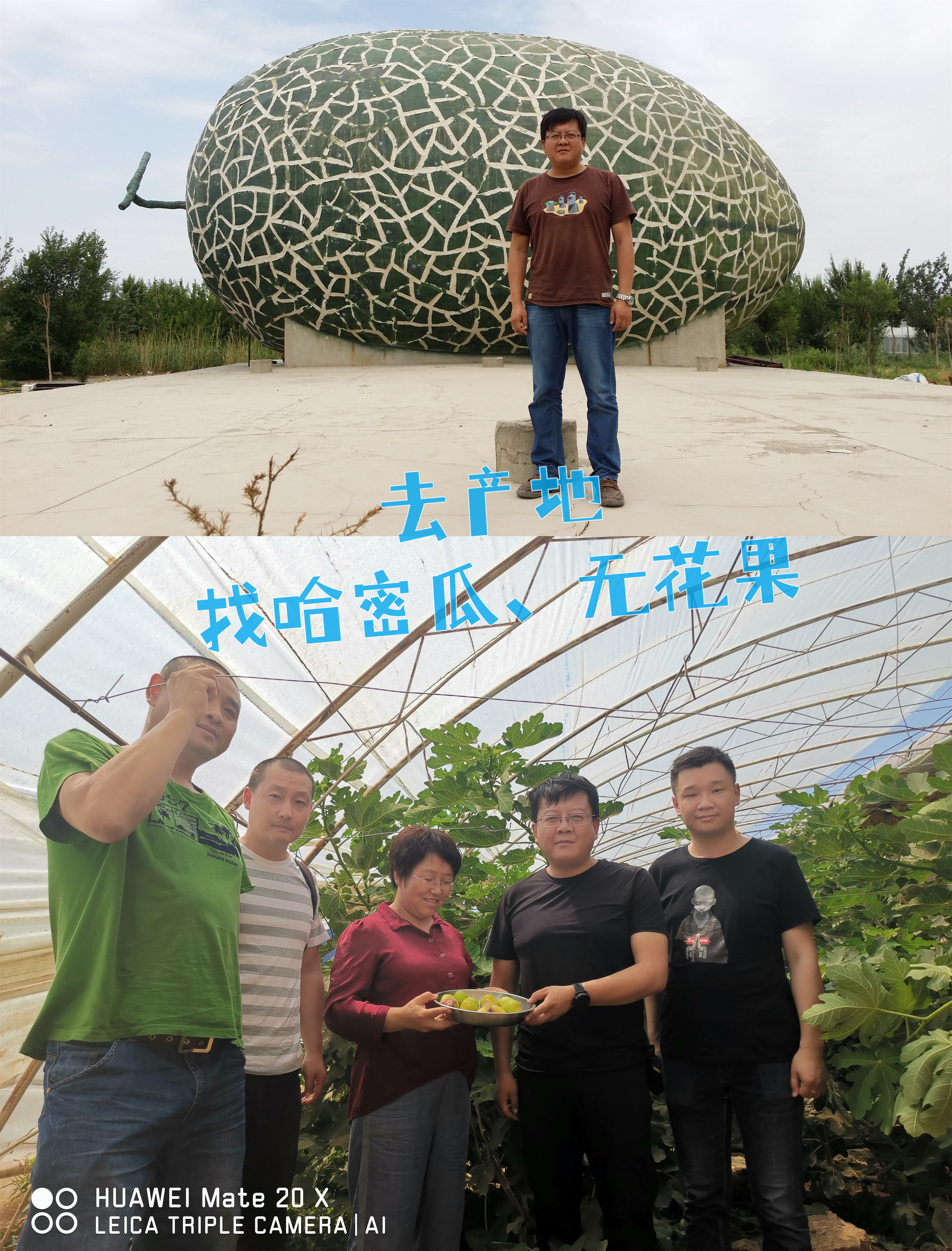 奔跑的巴扎（新疆物产） 介绍图