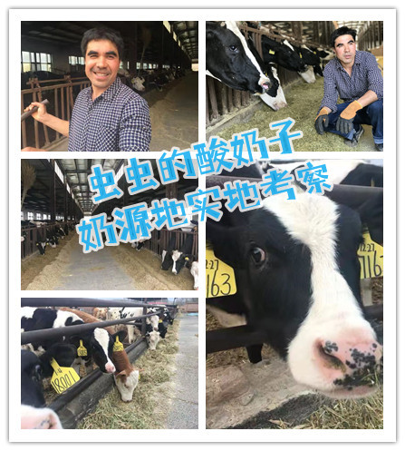 奔跑的巴扎（新疆物产） 介绍图