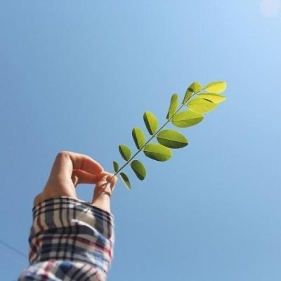 每日清仓福利号 的封面