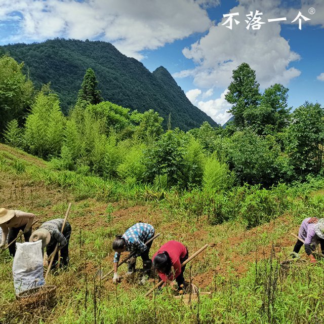 馨馨家优选全品供应团（订阅我有红包） 的封面