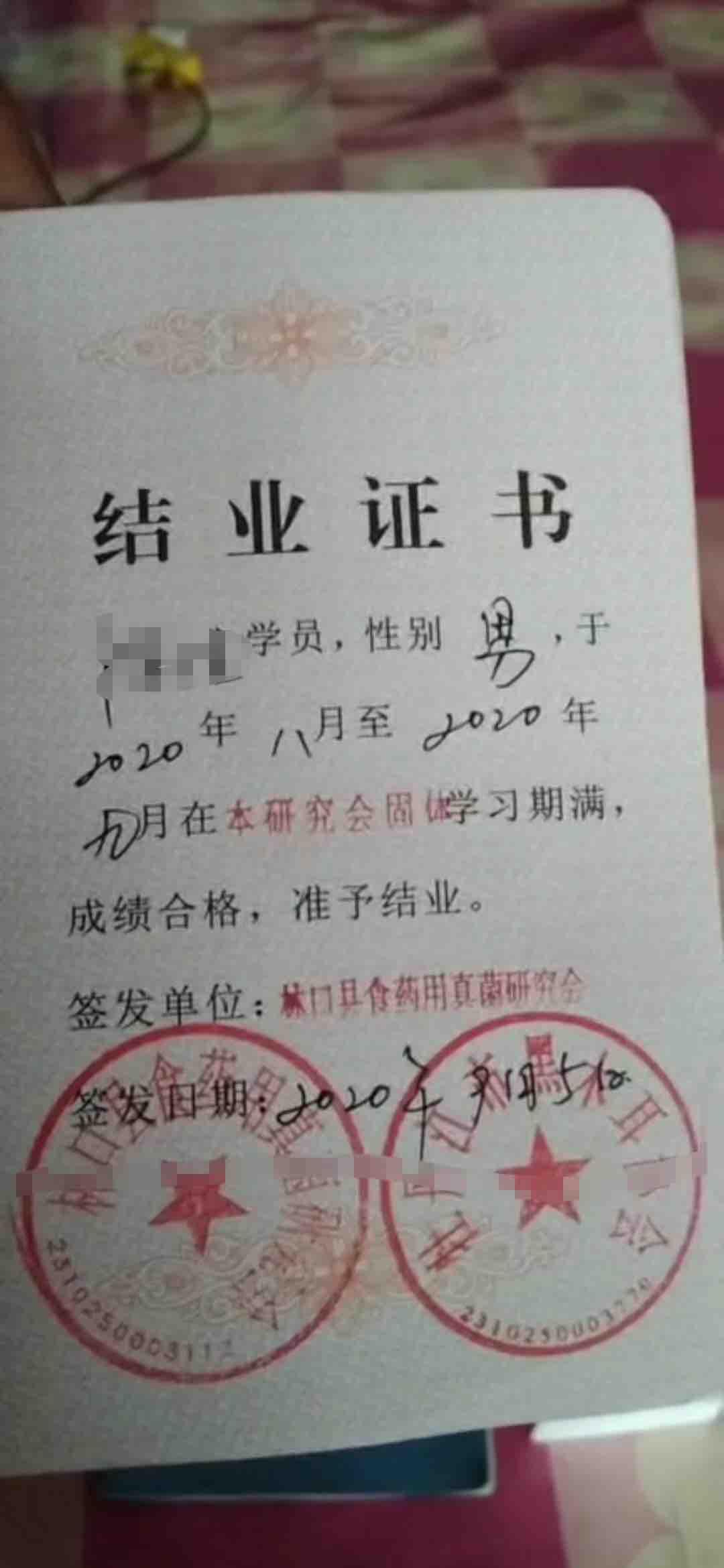 【长白山的云朵木耳，跌落舌尖的乡愁】