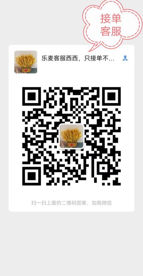 乐麦图书「帮卖进群」 介绍图