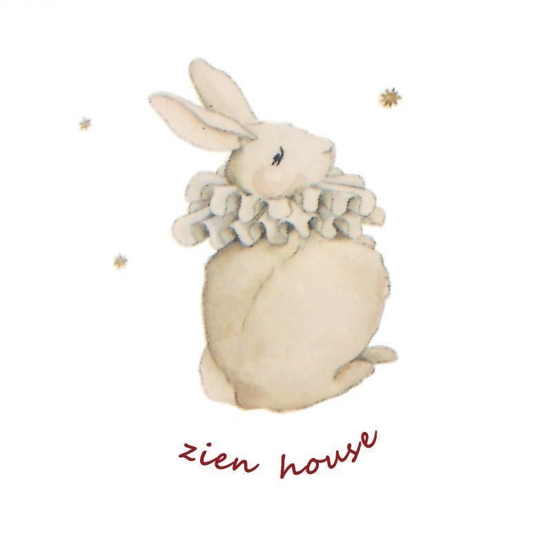 zienhouse 头像
