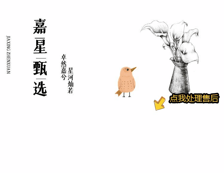 嘉星甄选工作室(进群订单翻三倍) 的封面