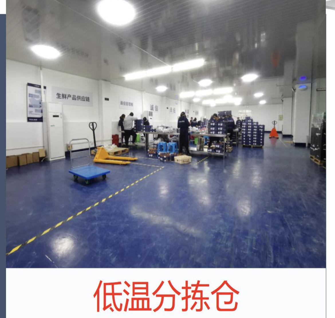小熊团🐻 介绍图