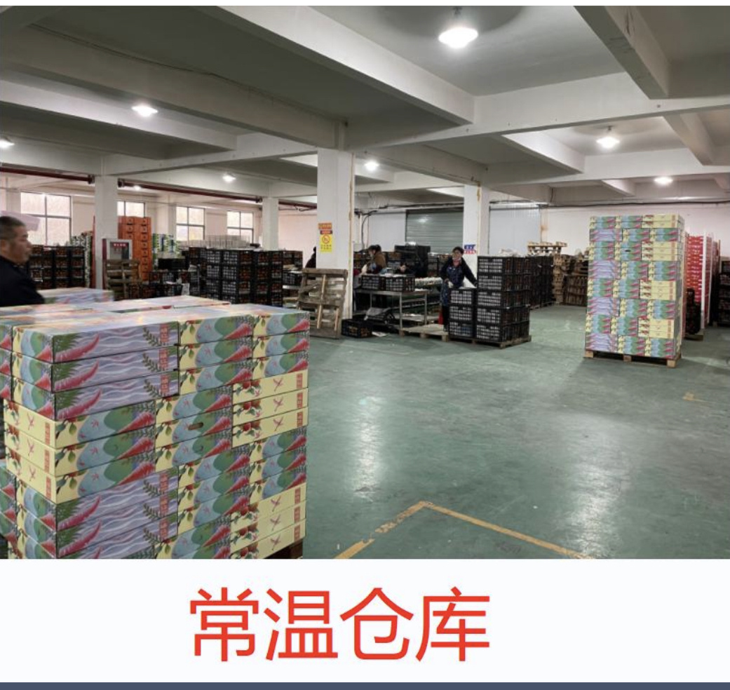 小熊团🐻 介绍图