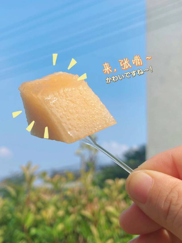 繁实集FANCYJOY 的封面