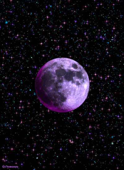 博物星球🪐 的封面
