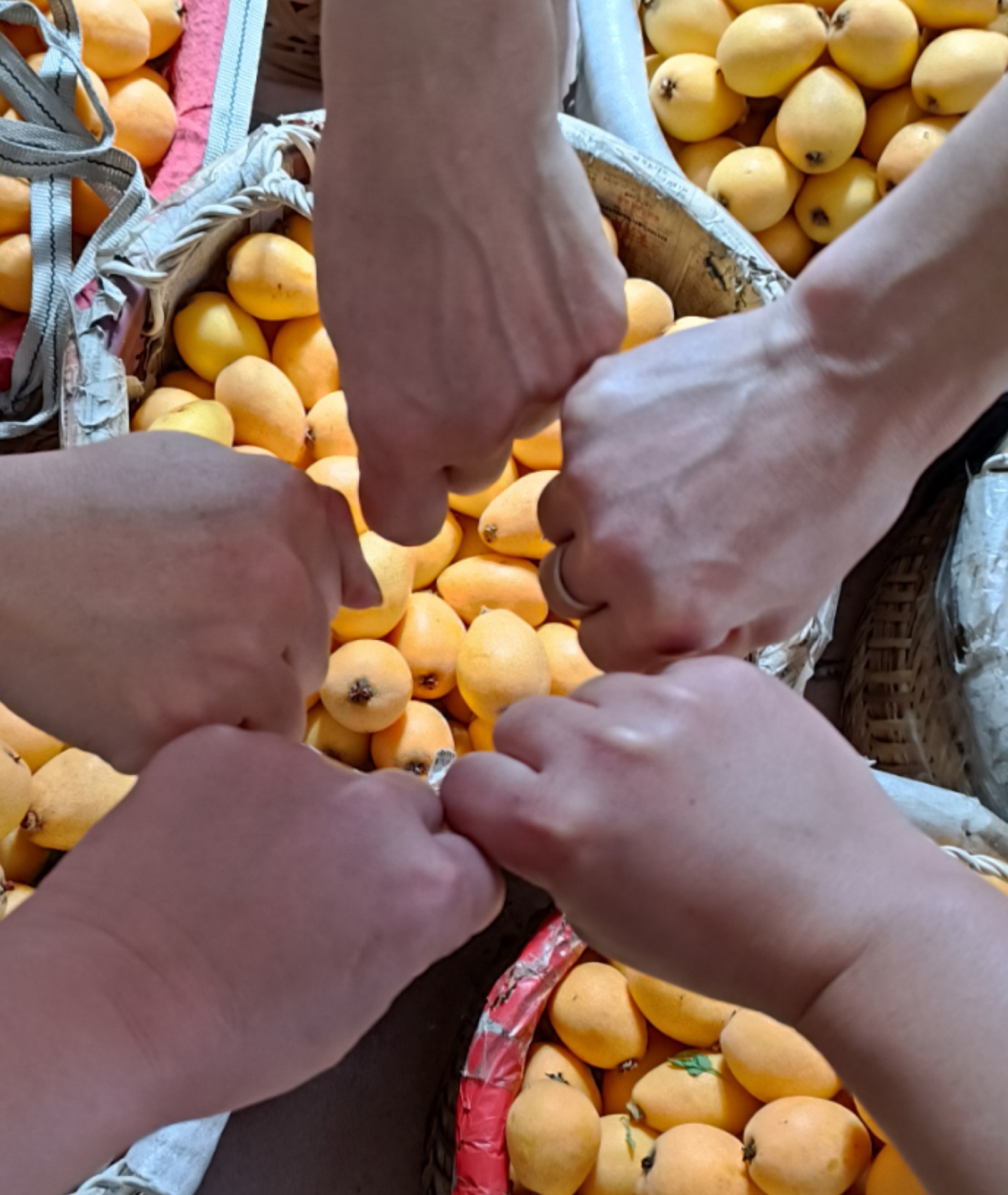 沁意优选 的封面