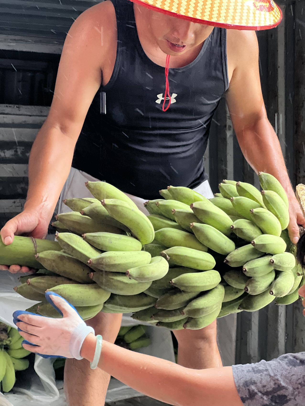 半坡阳光·阳春桂绿青皮香蕉：重拾童年的自然味道