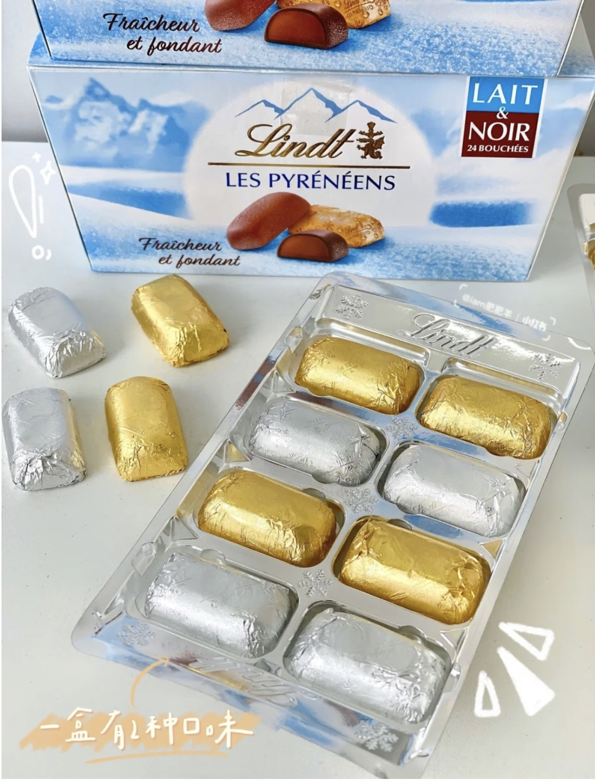 小熊团🐻 的封面