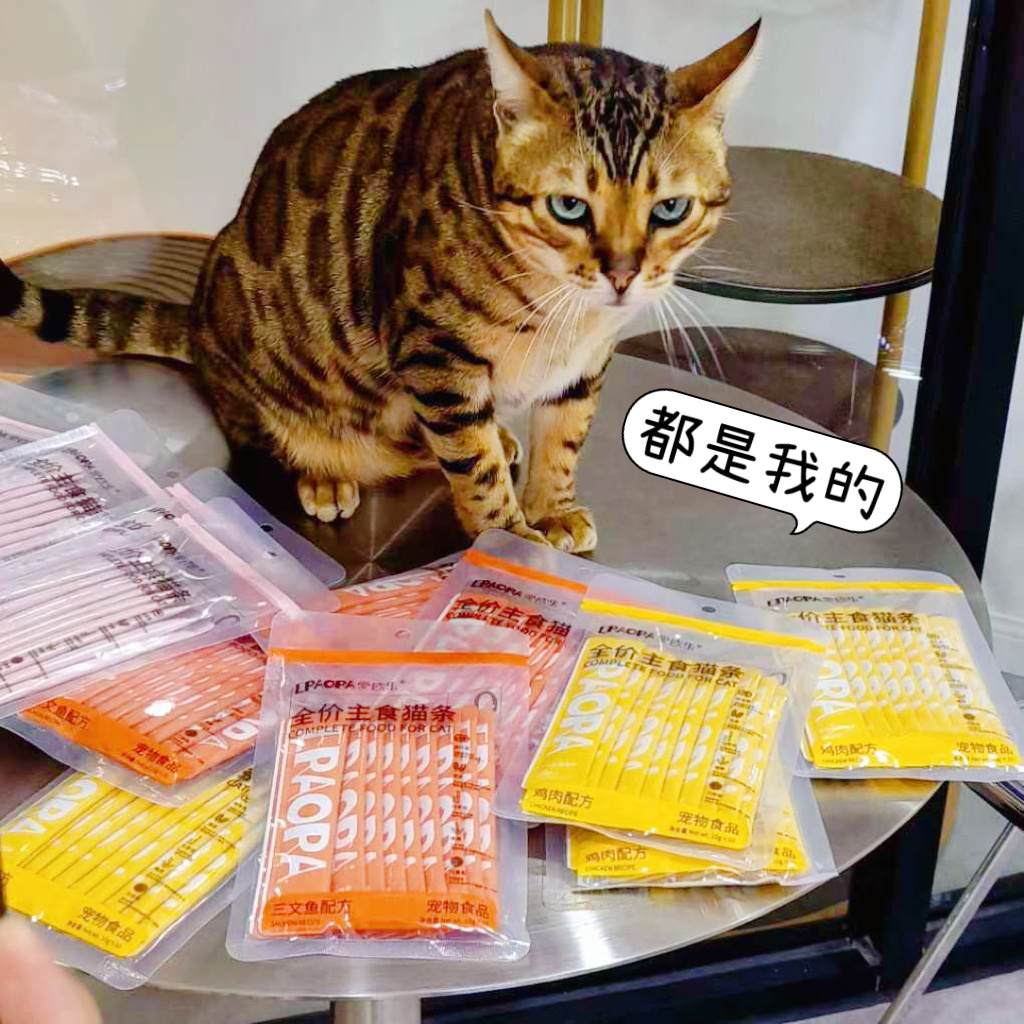 爱欧乐猫条：毛球们的诗经与科学，写在肉泥里的温柔