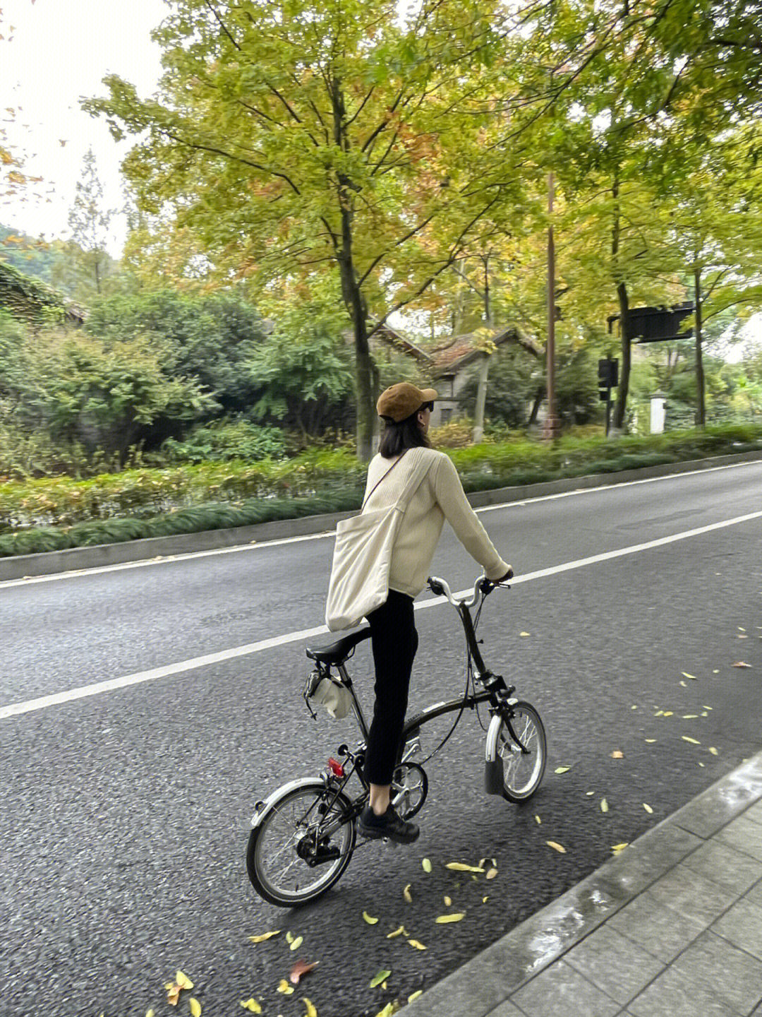 七月🧚‍♀️ 介绍图