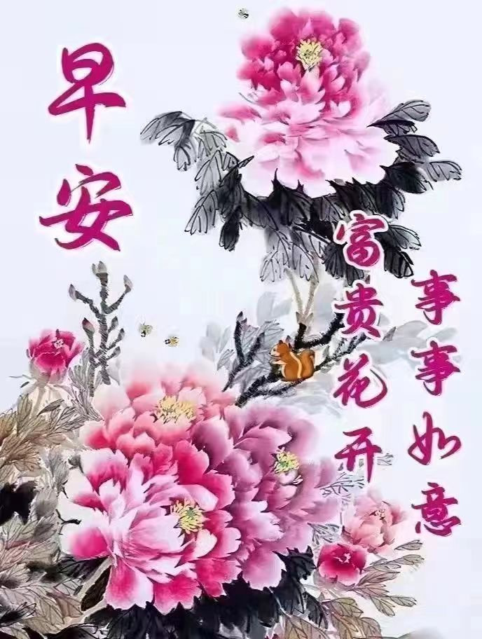 大米哥 的封面