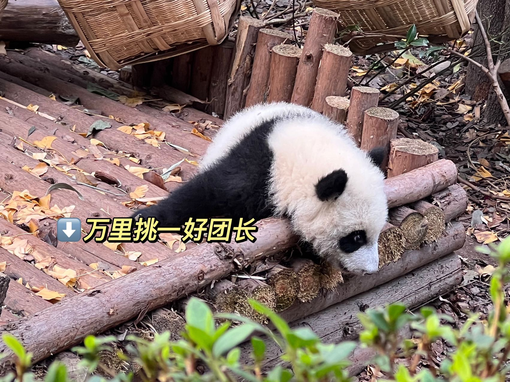 🌊伊伊家团—折扣特卖 的封面