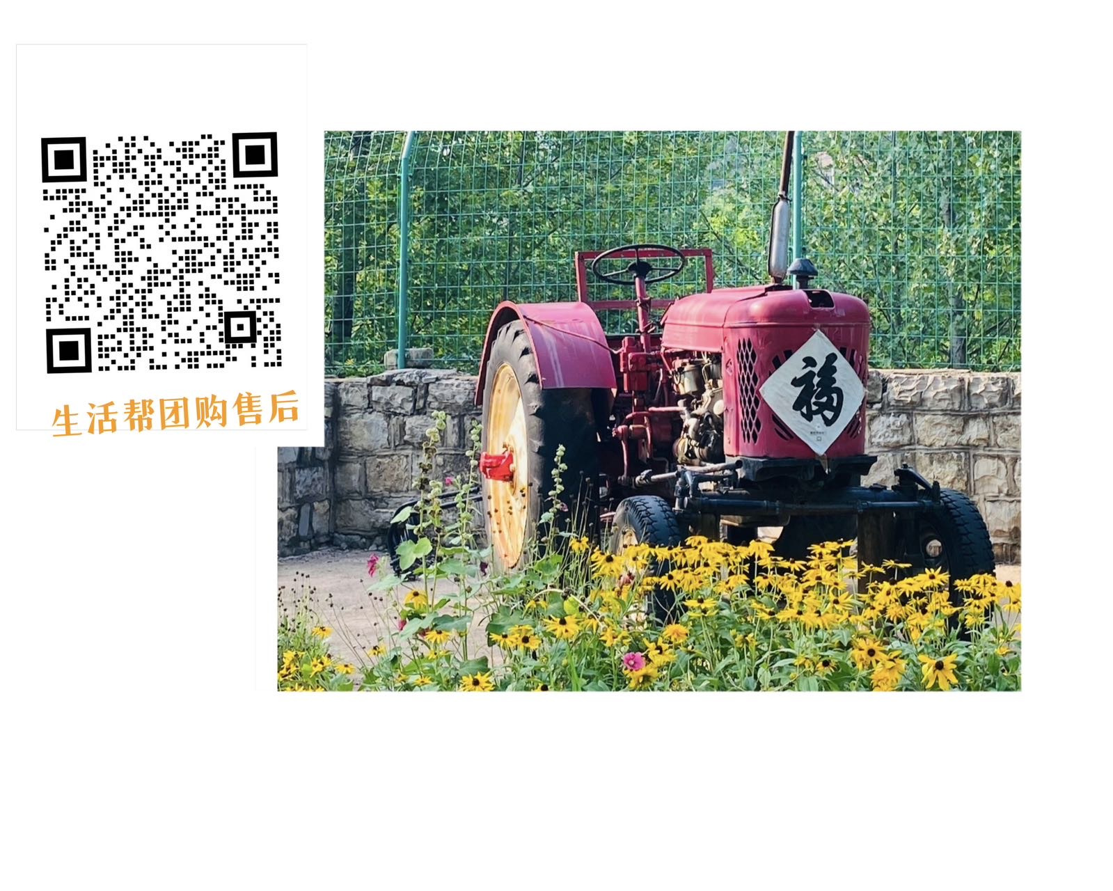 生活帮家长团购 的封面