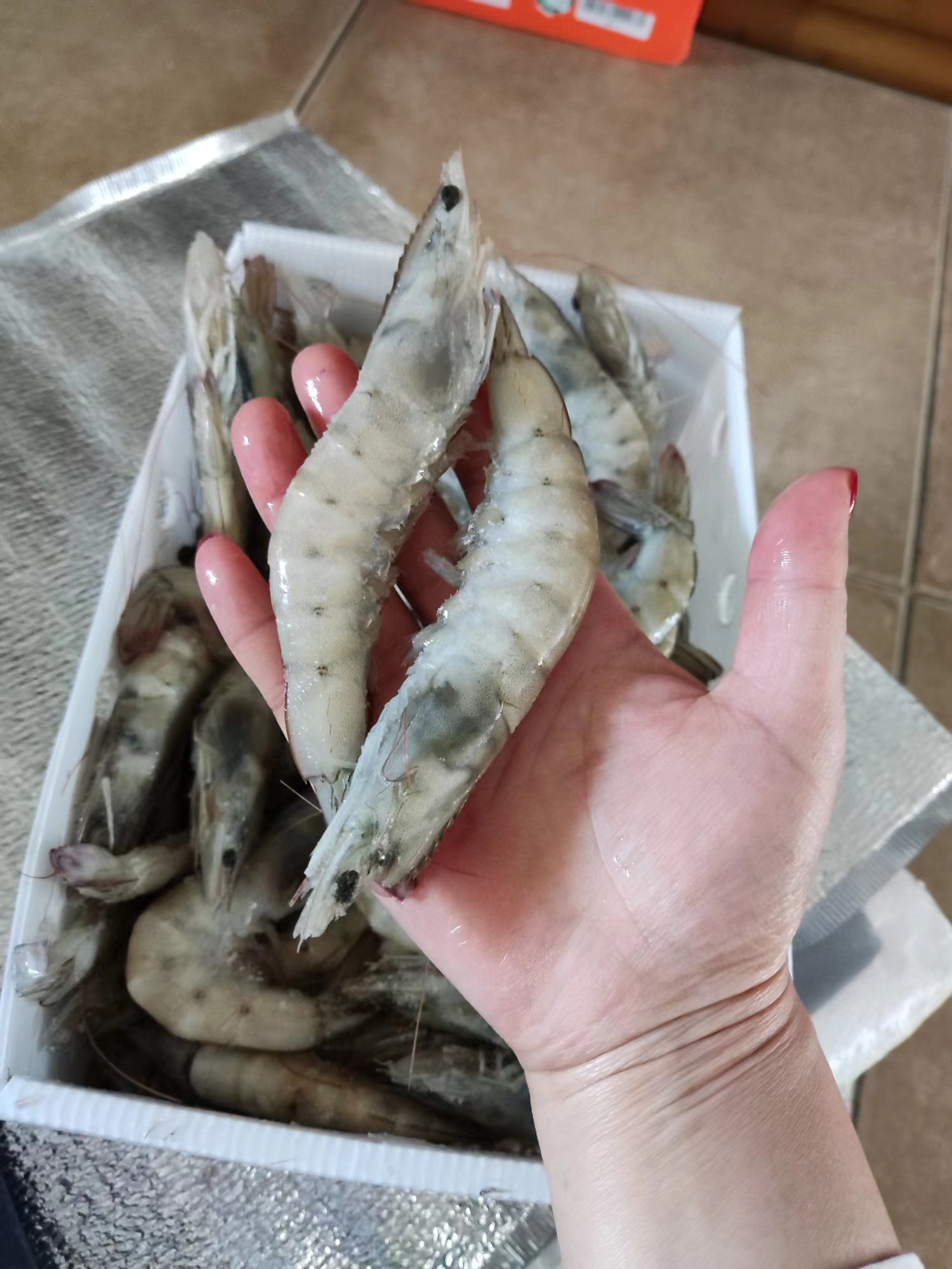 中秋家宴必备！盐冻大虾直降40元，鲜味不输现捕！