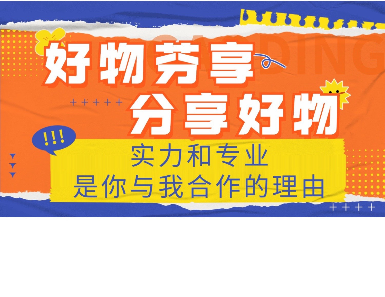 芬姐好物-实测-11年供应链 的封面