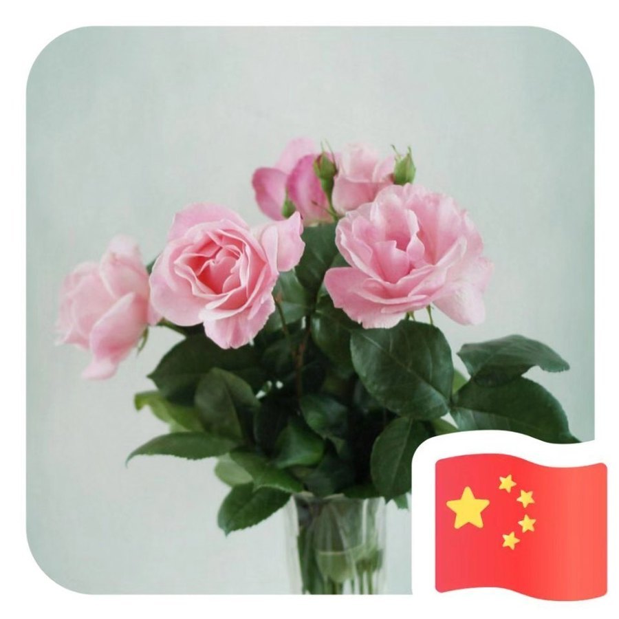 木木鱼团购群（欢迎订阅） 的封面