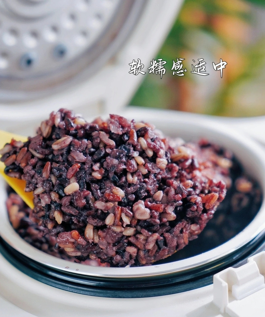 十色糙米：更懂你的健康主食选择