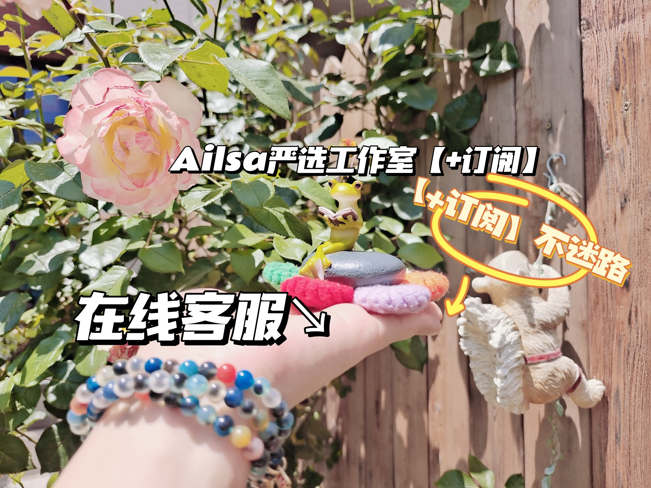 Ailsa严选工作室【+订阅】 的封面
