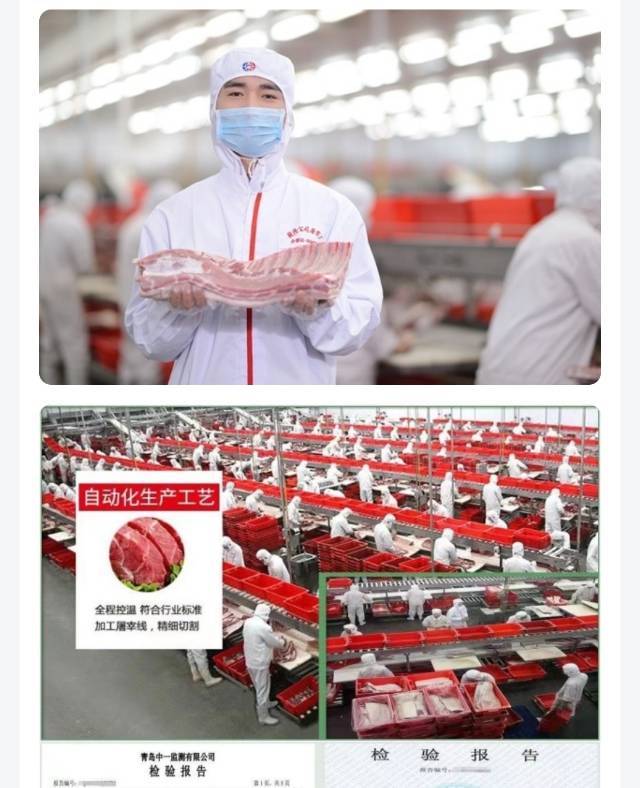 【肉肉一团】26年全面升级 介绍图