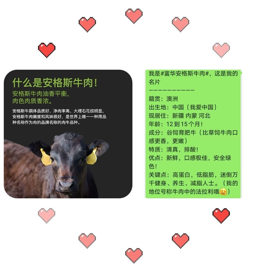 【肉肉一团】26年全面升级 介绍图