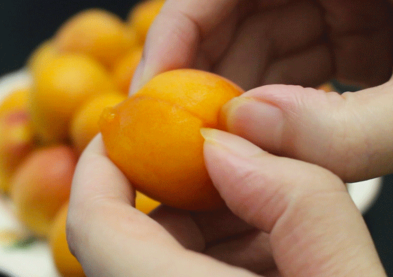 舌尖上的西域蜜语：那颗甜到心坎的新疆小红杏