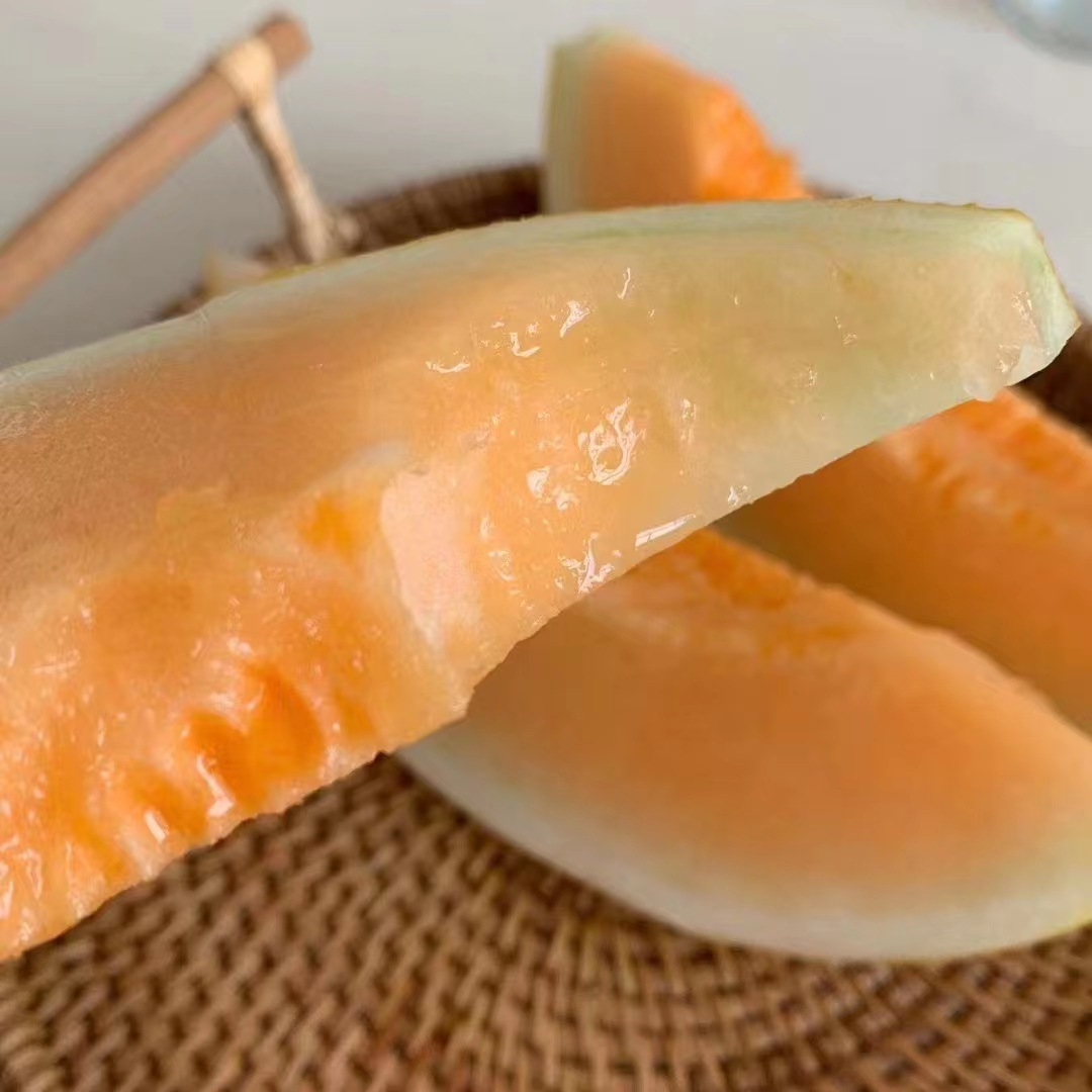 一口民勤蜜瓜，守护沙漠绿洲