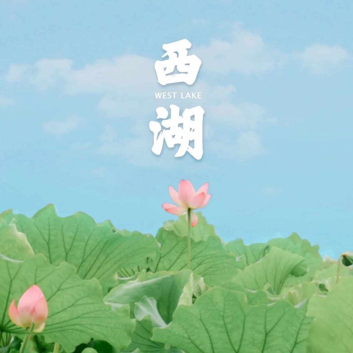 西湖饭爷 头像