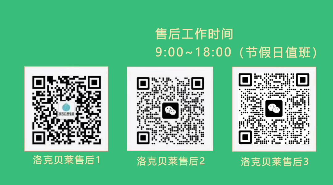 洛克贝莱 的封面